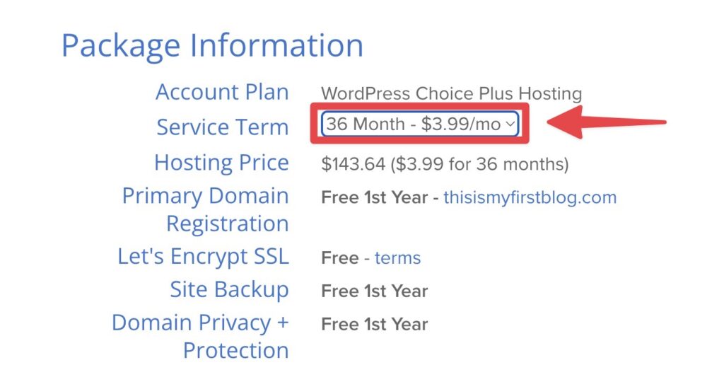 Bluehost Blog Hosting Pricing and Package Options (Screen Shot)