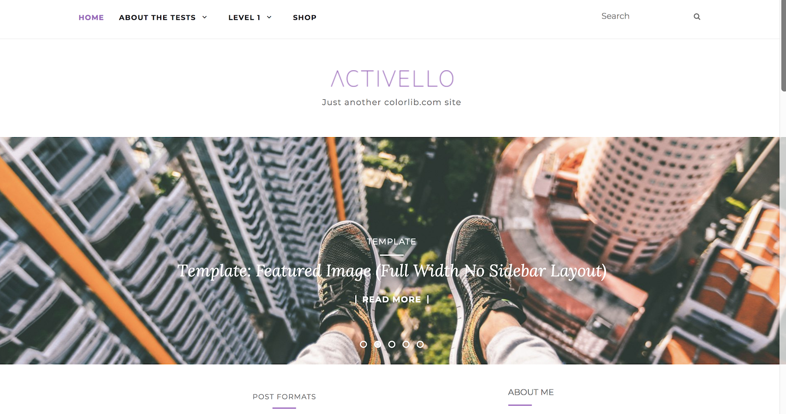 Screenshot of the Activello fashion blogging theme