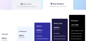 Pricing for Brizy's Website Builder